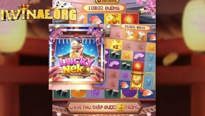 Những thắc mắc thường gặp về Neko May Mắn